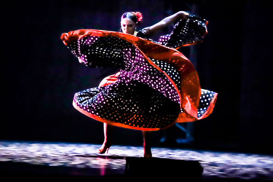 Dancing with the Burke Stars 2020-0571 (99).jpg
